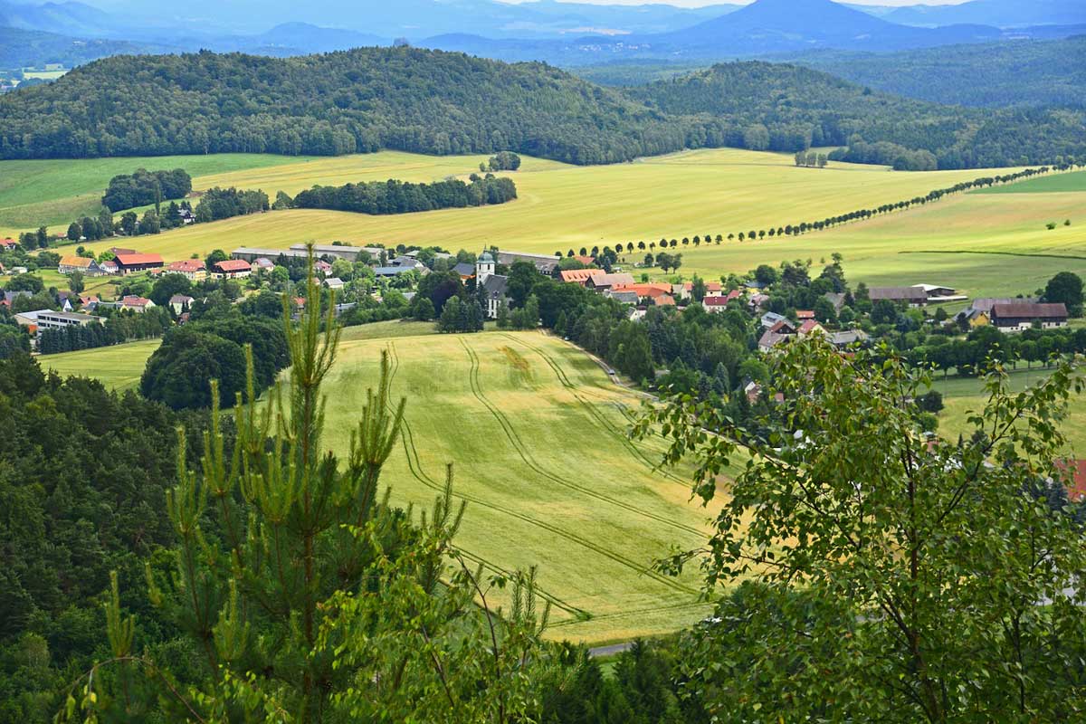 Der Forststeig Der Forststeig
